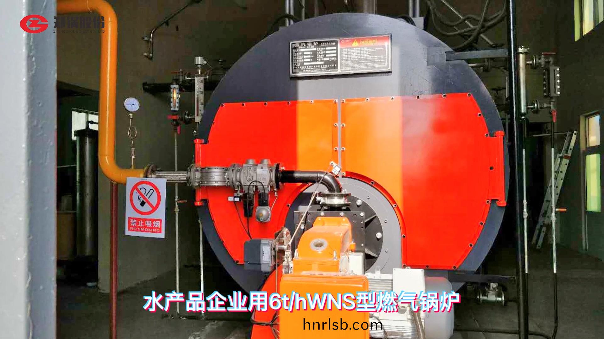 食(shi)品廠用(yong)燃(ran)氣鍋鑪