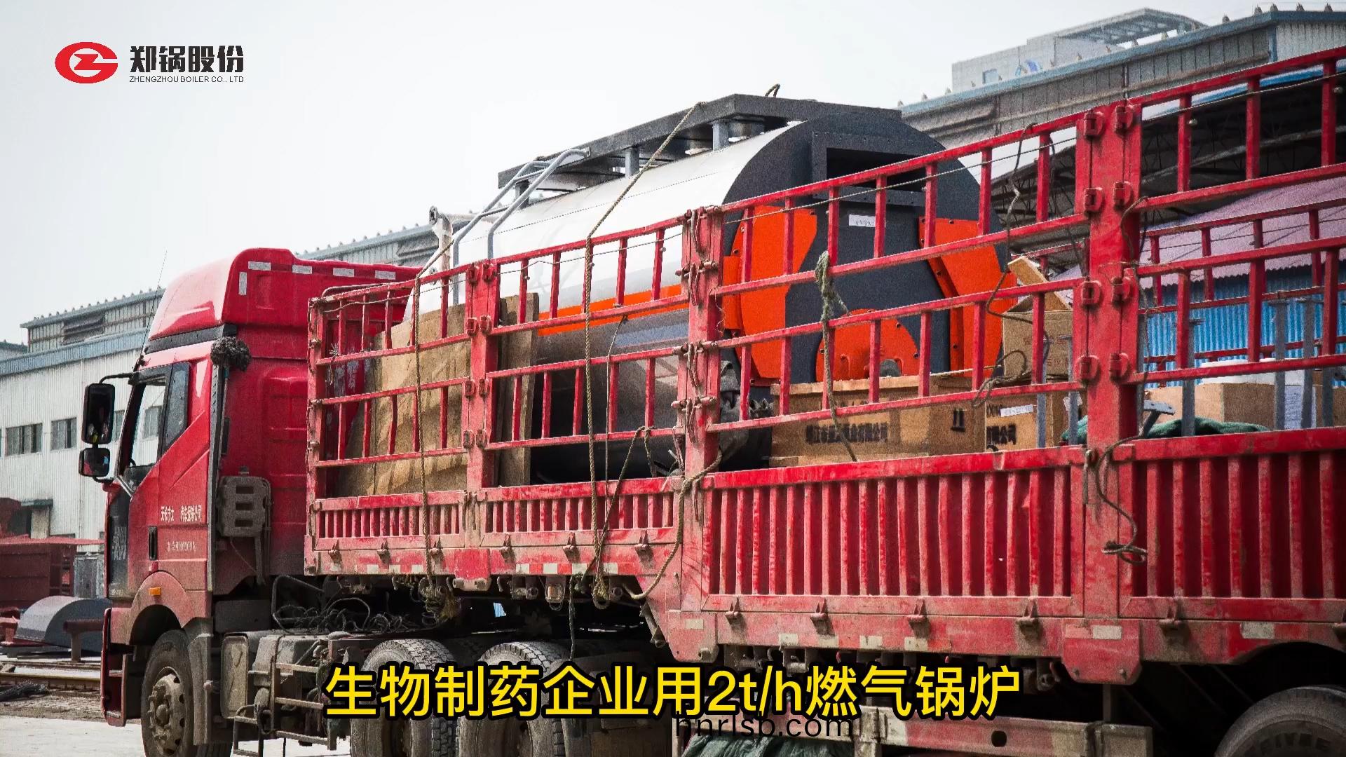 生(sheng)物(wu)製(zhi)藥(yao)2噸燃氣(qi)鍋鑪(lu)