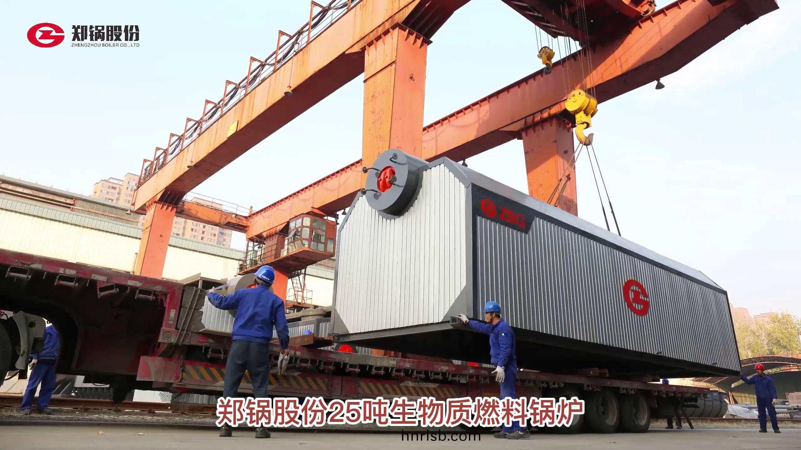 20噸生(sheng)物質(zhi)燃(ran)料鍋鑪