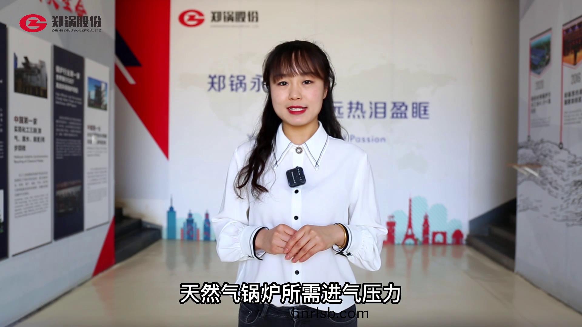 燃(ran)氣鍋(guo)鑪(lu)進氣(qi)壓(ya)力要(yao)求