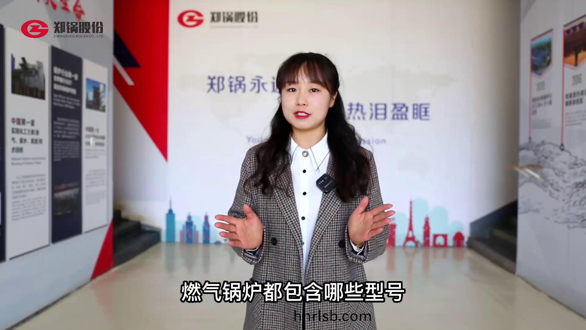 燃氣鍋鑪(lu)都有哪些型(xing)號(hao)