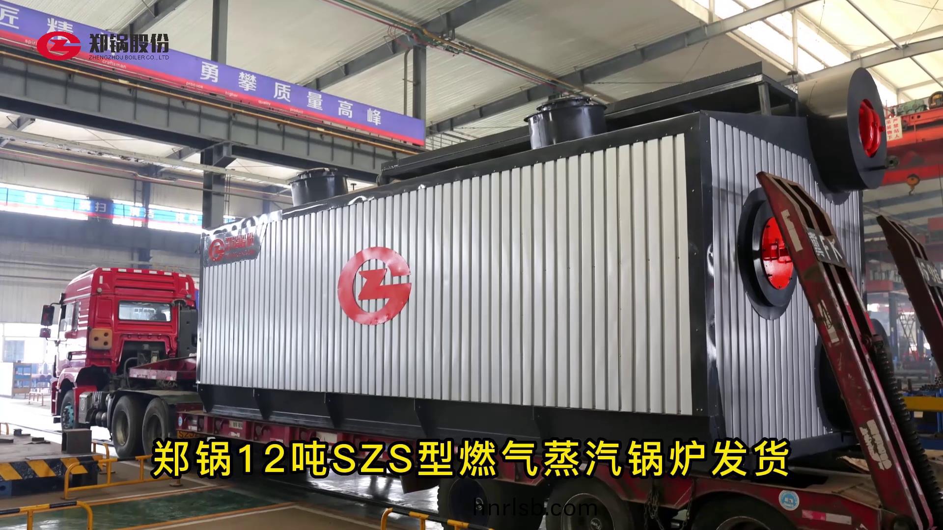 鄭(zheng)鍋12噸(dun)燃氣(qi)鍋(guo)鑪髮貨(huo)