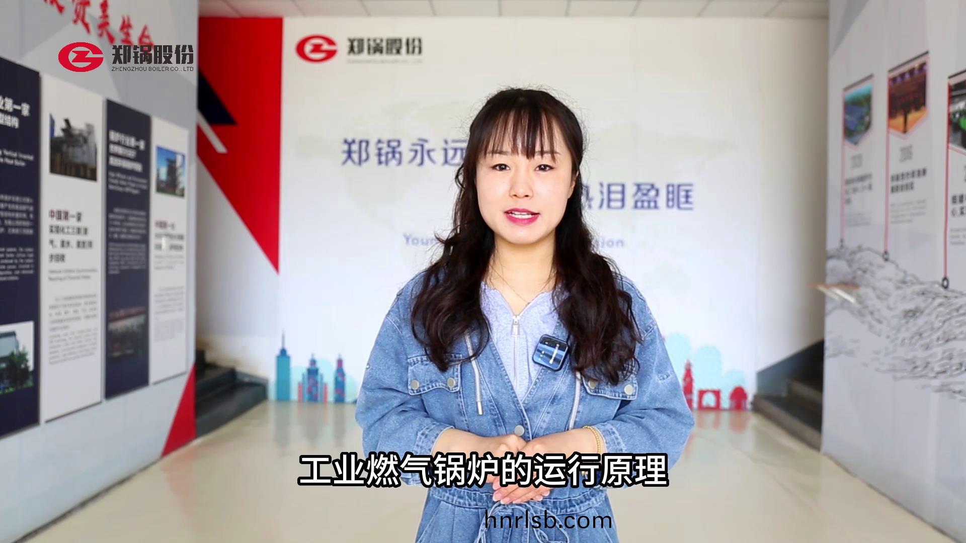 工業燃氣(qi)鍋鑪(lu)的運(yun)行原理