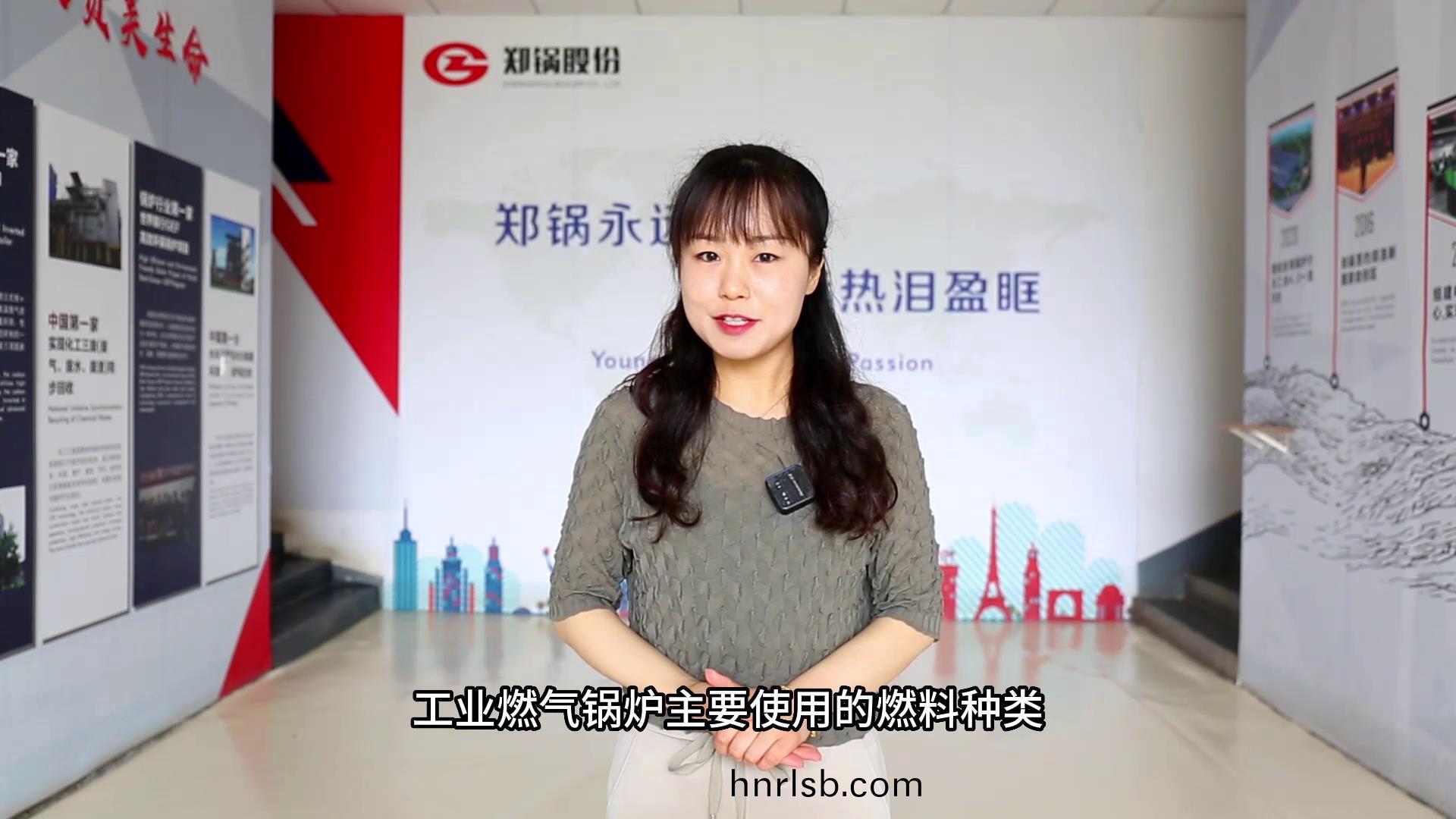 工業(ye)燃(ran)氣鍋(guo)鑪的燃(ran)料(liao)種(zhong)類(lei)