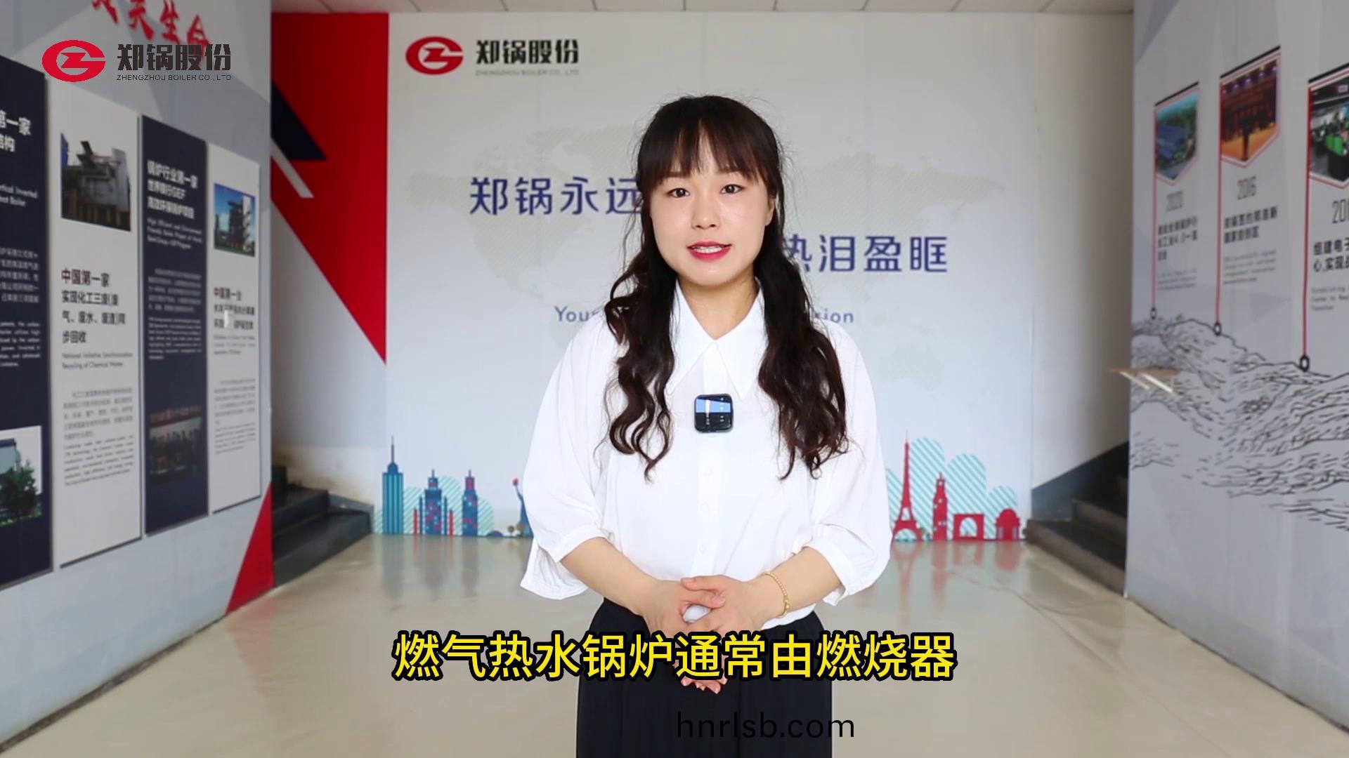 燃氣熱水(shui)鍋鑪(lu)的工作(zuo)原(yuan)理(li)