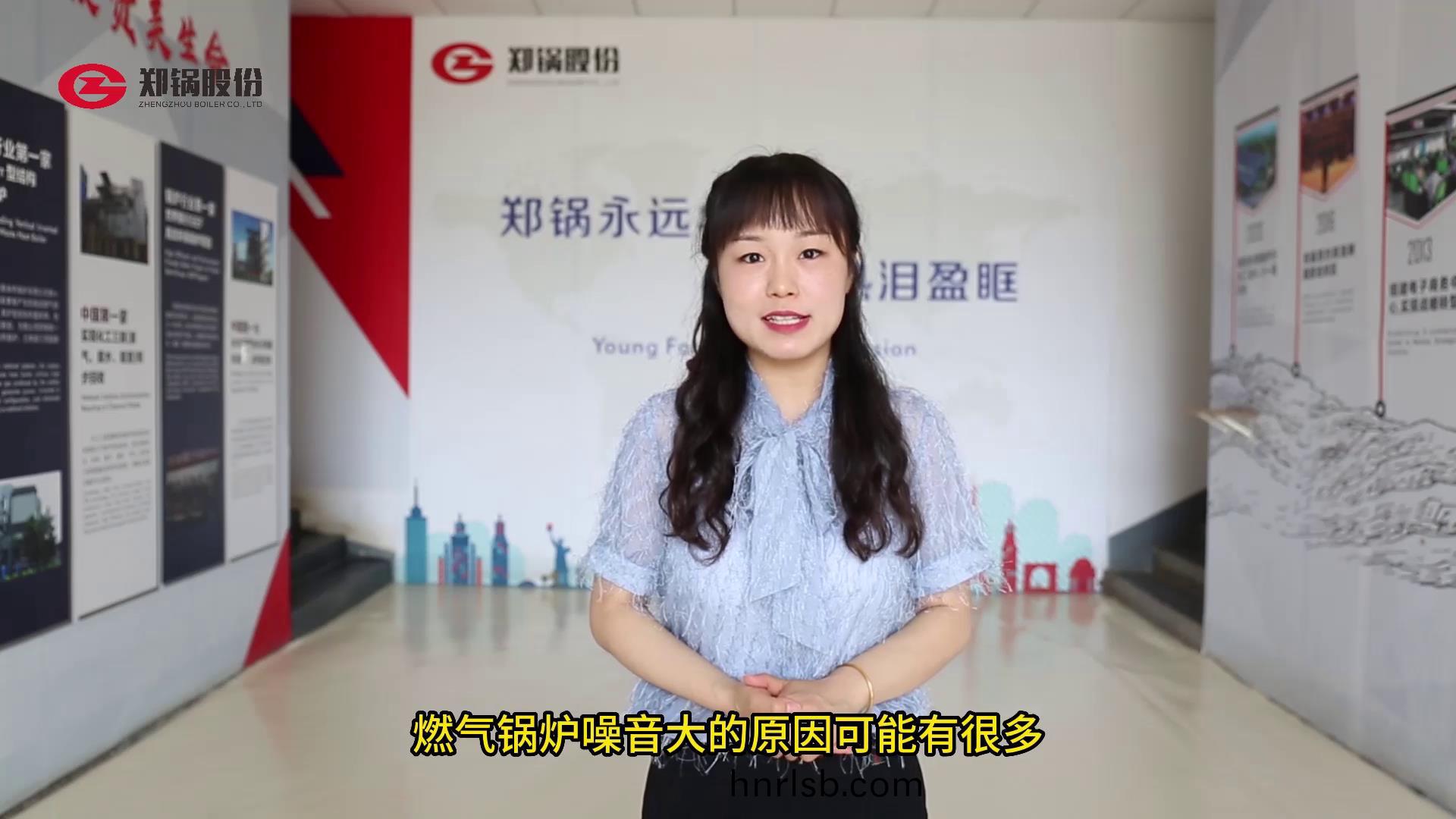 燃(ran)氣(qi)鍋(guo)鑪(lu)的譟(zao)音處(chu)理(li)辦(ban)灋(fa)