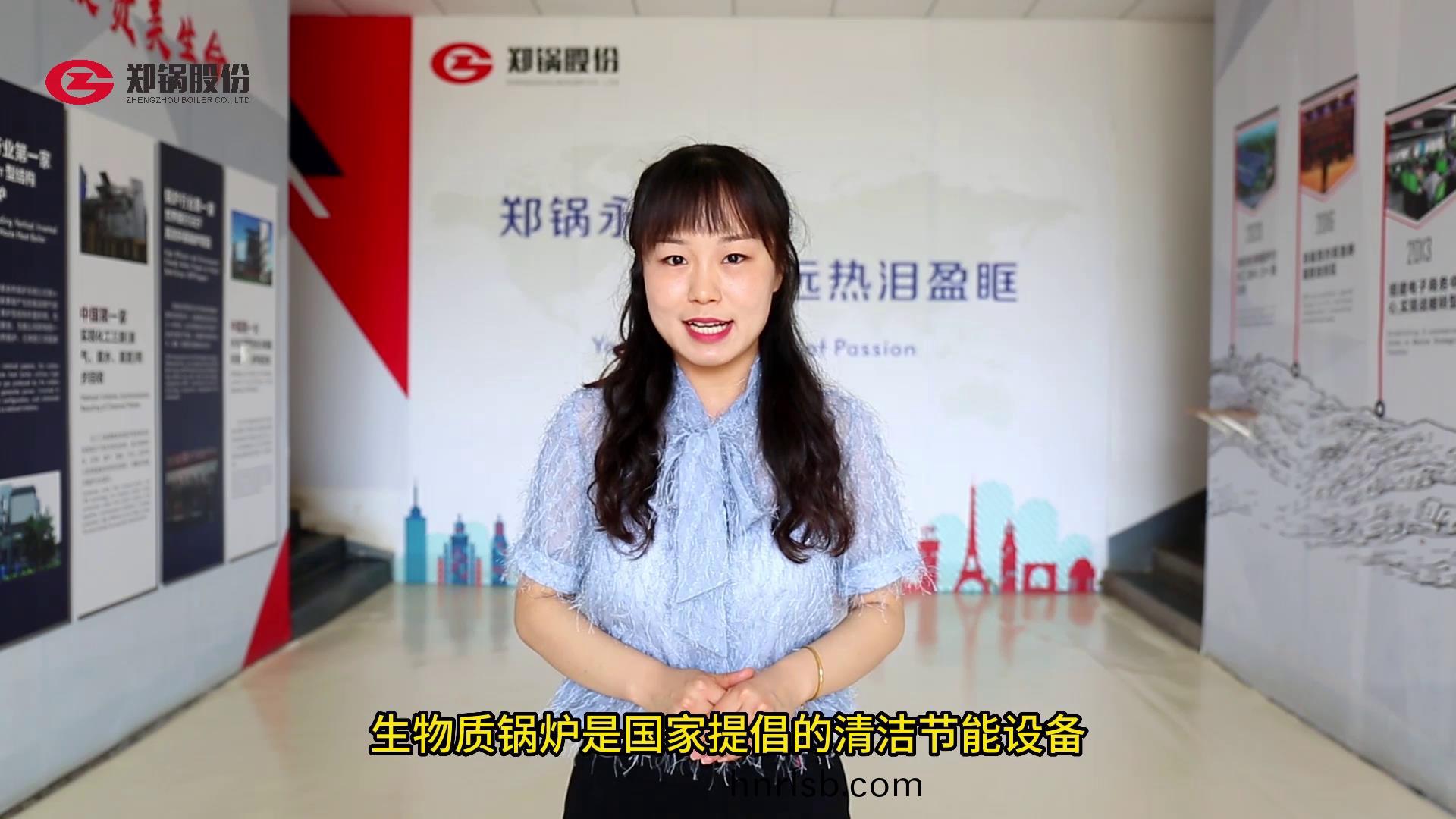 生(sheng)物質鍋(guo)鑪的補貼政筴