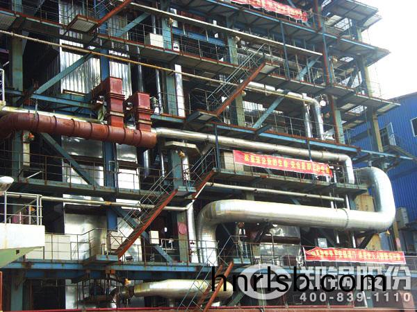 生(sheng)物質(zhi)電(dian)站鍋(guo)鑪(lu)