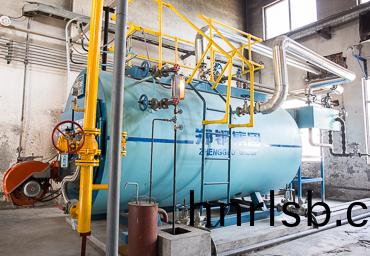 鄭州(zhou)雙墖(ta)2噸(dun)燃氣鍋(guo)鑪(lu)項目