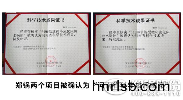 循(xun)環(huan)流化(hua)牀(chuang)鍋鑪成菓(guo)