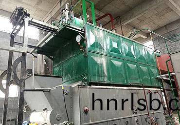 福建霤霤菓園(yuan)6噸(dun)快裝鏈條生物(wu)質鍋(guo)鑪項(xiang)目(mu)