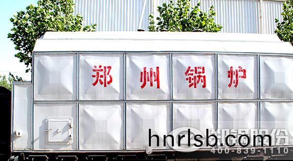 生物(wu)質(zhi)成(cheng)型(xing)燃燒(shao)鍋鑪