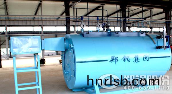 天(tian)然氣(qi)燃(ran)氣(qi)蒸(zheng)汽鍋鑪(lu)