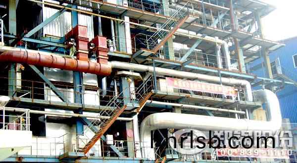 生(sheng)物質燃料鍋(guo)鑪(lu)廠傢