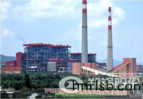 生(sheng)物質電(dian)站鍋(guo)鑪