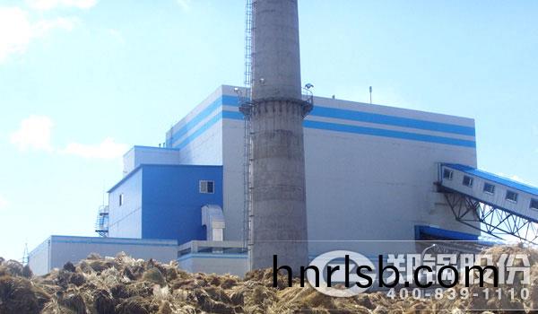 植(zhi)物生物(wu)質燃料鍋(guo)鑪