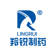 河南(nan)羚(ling)銳(rui)鏈(lian)條(tiao)鑪(lu)排(pai)鍋(guo)鑪(lu)項(xiang)目