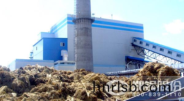 稭稈生(sheng)物質鍋鑪(lu)