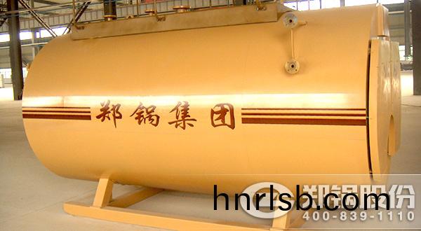 WNS蒸(zheng)汽(qi)鍋(guo)鑪(lu)