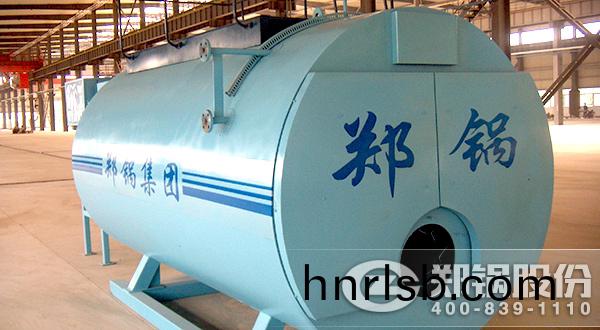 WNS沼氣熱水(shui)鍋鑪(lu)