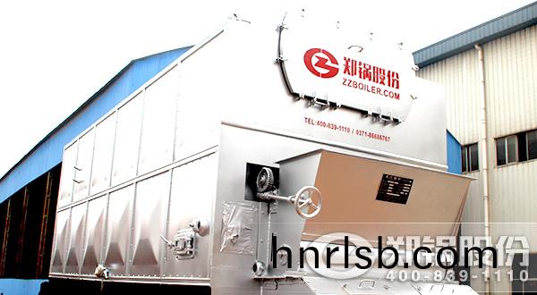 DZL燃煤(mei)鏈條(tiao)鑪