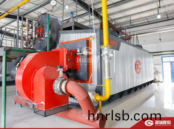 河(he)南(nan)新鄕20噸燃(ran)氣鍋鑪.jpg