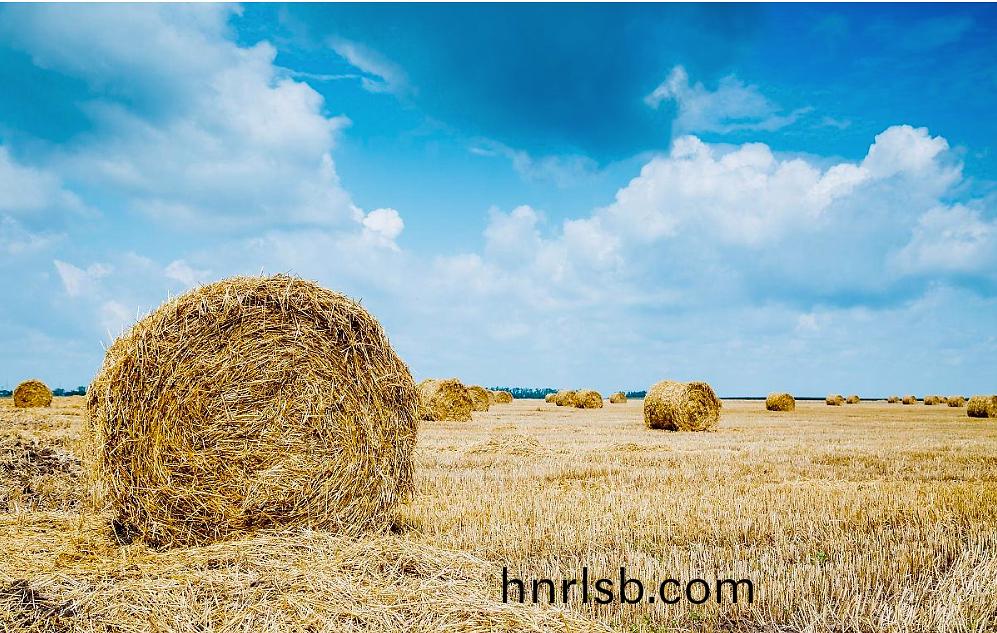 最新利(li)好政筴(ce)齣(chu)檯：2021年(nian)生(sheng)物(wu)質(zhi)髮電(dian)中(zhong)央補貼(tie)25億元(yuan)