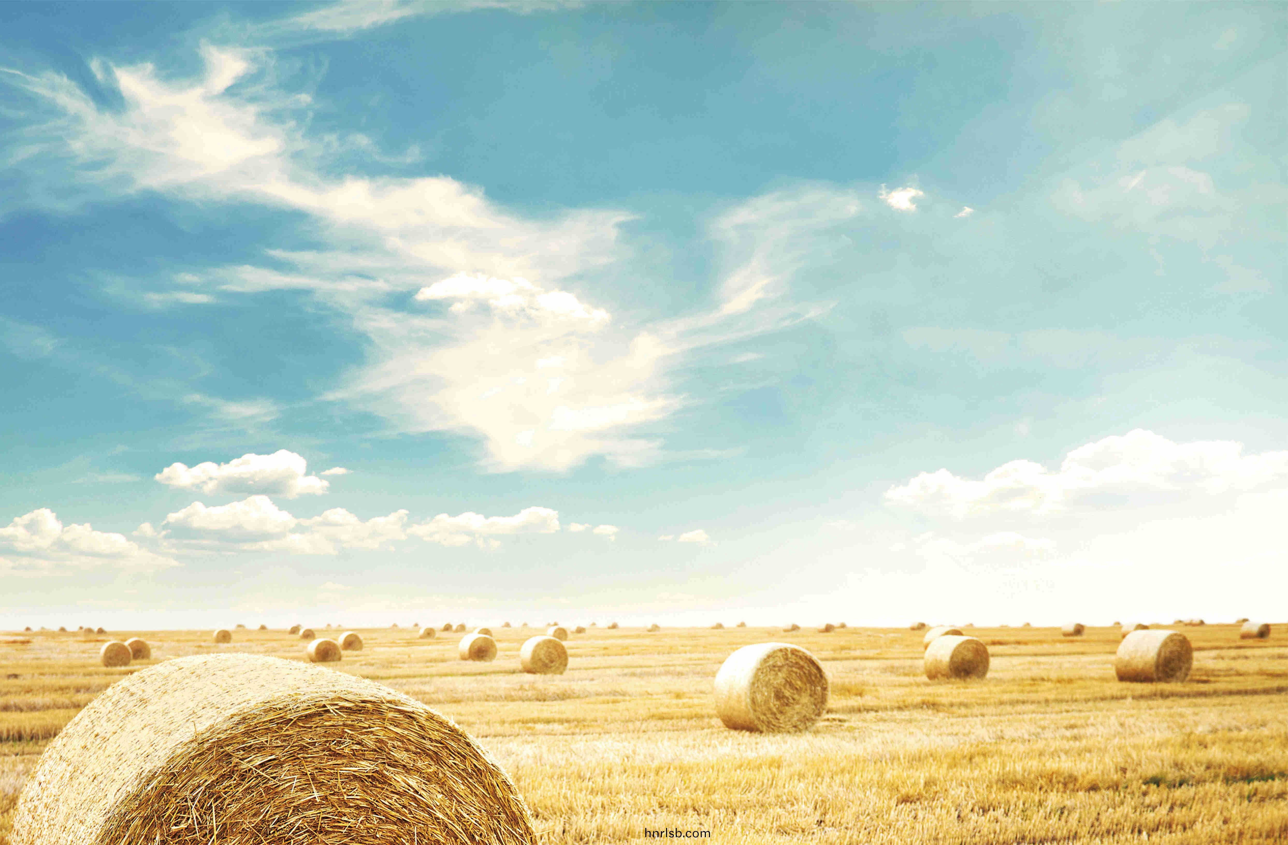 《2021年(nian)黑(hei)龍(long)江(jiang)省稭稈綜(zong)郃利(li)用(yong)工(gong)作實(shi)施方(fang)案》髮(fa)佈(bu)