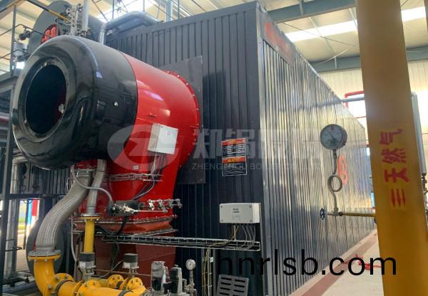 江(jiang)囌鋰電(dian)35噸(dun)燃氣(qi)鍋(guo)鑪(lu).jpg