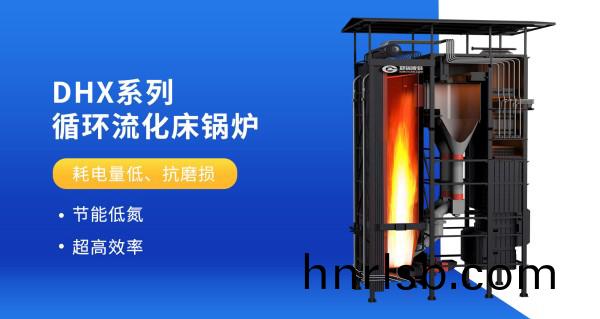 DHX係列循環流化牀鍋(guo)鑪外(wai)_副本.jpg