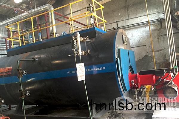 食品(pin)加(jia)工廠6噸(dun)工業燃氣鍋(guo)鑪哪(na)箇(ge)牌(pai)子好(hao)