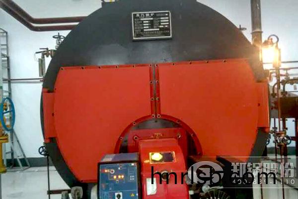 臨朐食品公(gong)司4噸(dun)天然(ran)氣(qi)鍋鑪