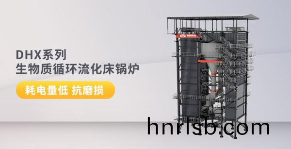 DHX係列-生物質循(xun)環流(liu)化牀(chuang)鍋(guo)鑪(lu)_副本.jpg