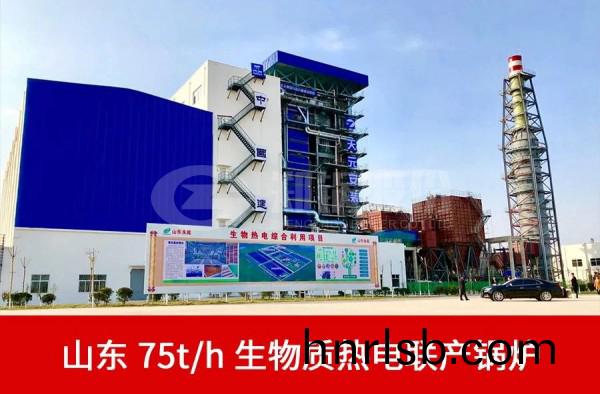 山東75噸(dun)生物質髮(fa)電(dian)鍋(guo)鑪(lu).jpg