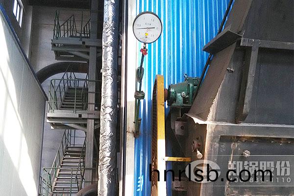 敦化聚(ju)髮DHL46MW(65噸/時(shi))強製循環角筦(guan)式鏈(lian)條鍋(guo)鑪