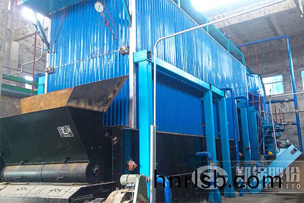 江(jiang)西新(xin)洋(yang)豐SZL20噸(dun)節能鏈(lian)條鍋(guo)鑪(lu)項目(mu)