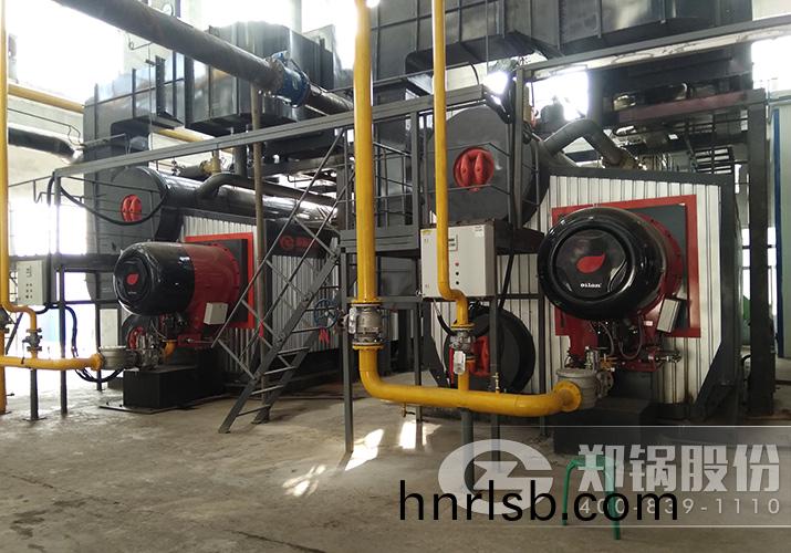 晉城(cheng)東(dong)方2檯14MW（20噸）SZS燃氣(qi)熱(re)水(shui)供(gong)熱(re)鍋鑪項目(mu)