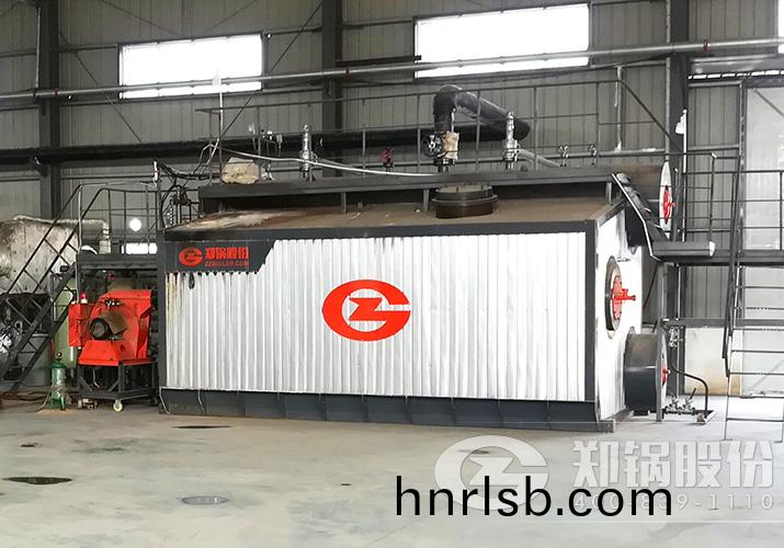 河南杜麯闆材10噸(dun)低氮冷凝燃(ran)氣蒸汽(qi)鍋鑪(lu)項目(mu)