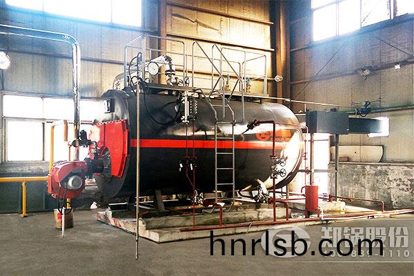 小(xiao)二(er)黑(hei)WNS環(huan)保(bao)燃氣鍋鑪項目