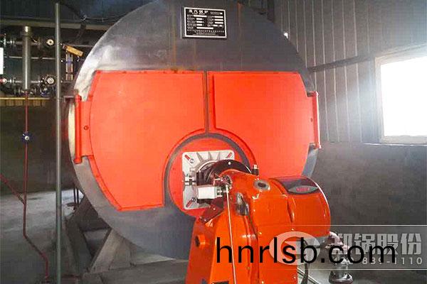 華馳(chi)薄闆(ban)4噸WNS燃(ran)氣鍋(guo)鑪(lu)項目(mu)