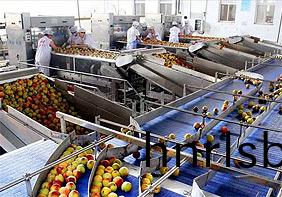 食(shi)品(pin)廠(chang)