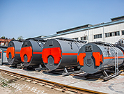 燃(ran)油燃氣鍋(guo)鑪