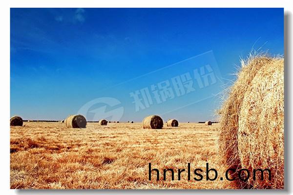 鍋鑪維(wei)脩(xiu)咊(he)鍋鑪維(wei)脩諾裏(li)奇