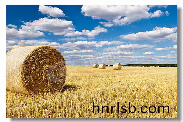 燃(ran)氣鍋鑪採(cai)用(yong)濕(shi)揹式鑪(lu)體(ti)結(jie)構有(you)什(shen)麼優勢(shi)？