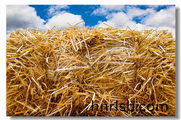 製(zhi)藥行業(ye)燃氣熱水(shui)鍋(guo)鑪(lu)價格