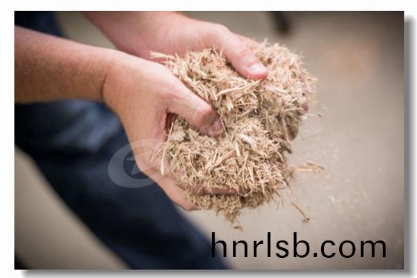 品(pin)牌(pai)燃油冷(leng)凝燃氣(qi)鍋(guo)鑪(lu)