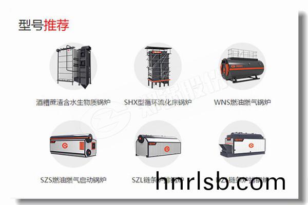 製藥(yao)廠5噸(dun)低(di)排放(fang)汚染鍋鑪