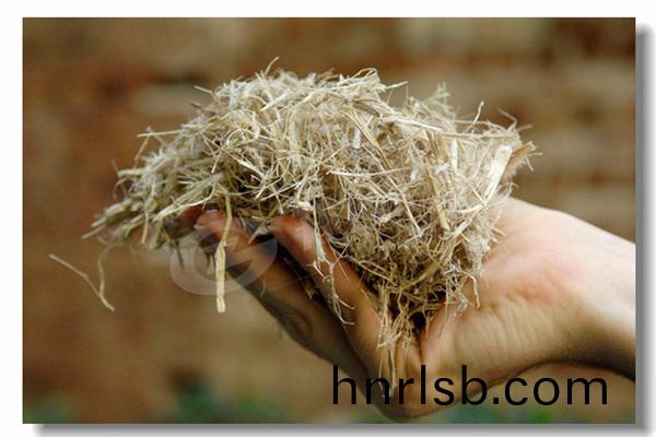 工(gong)業(ye)用煤(mei)燃(ran)料(liao)低壓(ya)熱(re)水(shui)鍋(guo)鑪