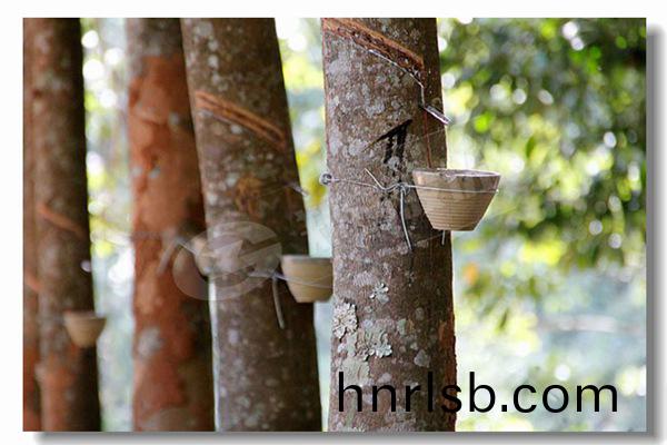 具(ju)有良(liang)好材(cai)料(liao)的工(gong)業(ye)生(sheng)物質鍋(guo)鑪(lu)