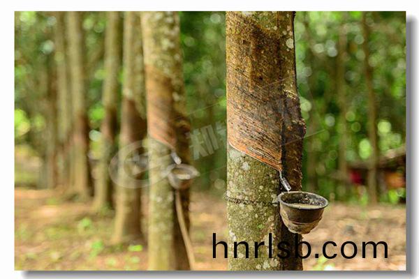 80噸(dun)鍋(guo)鑪公司哪(na)箇品(pin)牌可靠(kao)?